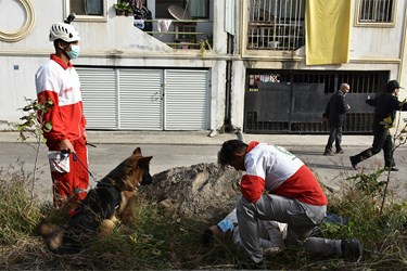 نیروهای هلال احمر با کمک گرفتن از سگ های زنده یاب به کمک به مصدومین و نجات آنها از زیر آوارها و مکان های صعب العبور می روند