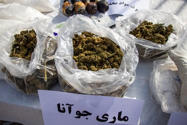 کشفیات مواد مخدر توسط پلیس آگاهی استان فارس