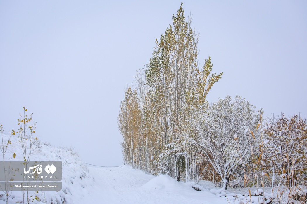 طبیعت زیبای قزوین سفیدپوش شد