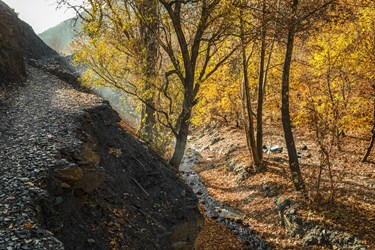 طبیعت پاییزی روستای دهبار