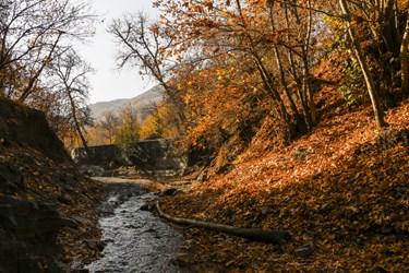 طبیعت پاییزی روستای دهبار