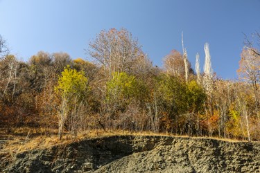 طبیعت پاییزی روستای دهبار