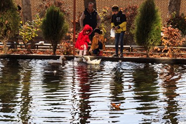 مردم به همراه کودکان خود برای دادن غذا به اردک‌های حال شنا درون استخر شهر دریان هستند.