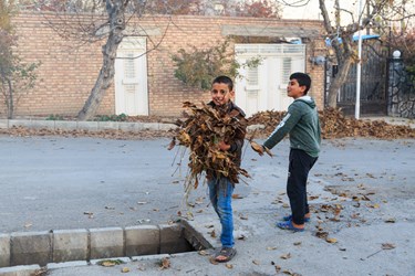کودکان شهر سیس در حال بازی و جمع کردن برگ درختان هستند