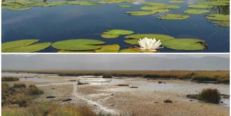 «زریوار» را دریابید/ بزرگترین دریاچه آب شیرین جهان در معرض نابودی+فیلم و عکس