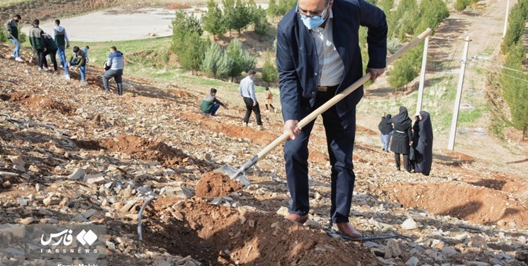 کاشت نهال در سطح ٢٢٠٠ هکتار از اراضی جنگلی لرستان