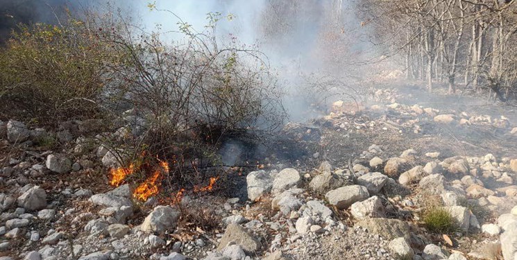 اطفاء ۲ فقره آتش‌سوزی در پارک ملی گلستان