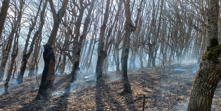آتش‌سوزی جنگل «ساتره» چالوس مهار شد/ تداوم امحای آتش در جنگل‌های «آشیر»