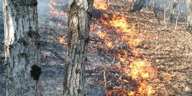 مهار آتش در جنگل‌های مرزن‌آباد با کمک ۲ فروند بالگرد/ همراهی مردم در خاموش کردن آتش