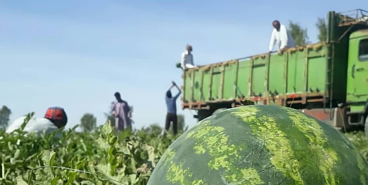 شرایط صادرات محصولات کشاورزی به کشورهای همسایه تسهیل شود