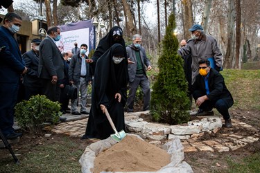 رویداد هنری «سرو ایرانی»