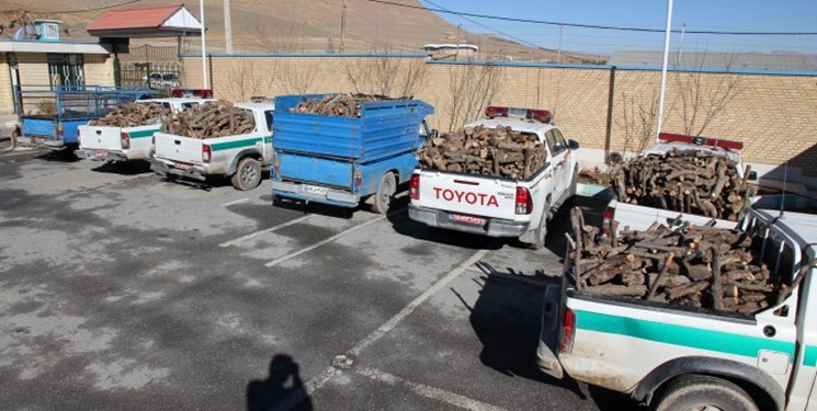 کشف و ضبط 4 تن چوب بلوط قاچاق در شهرکرد