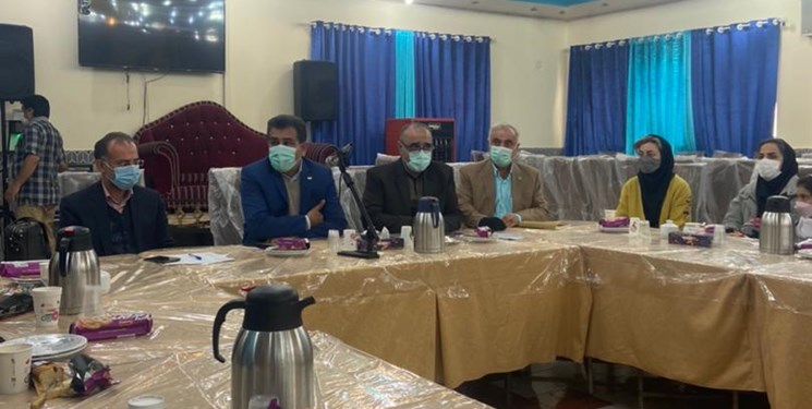 وعده حل مشکلات حقوقی ماماها در مجلس