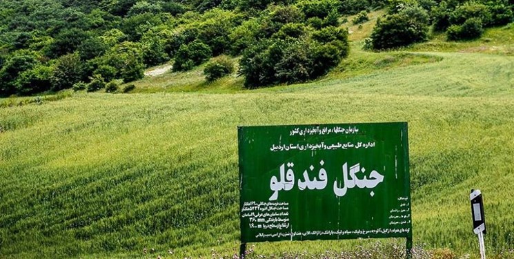 فارس من| پایش جنگل فندقلو مستمر انجام می شود/ مردم هرگونه دخل و تصرف در اراضی ملی را اطلاع دهند
