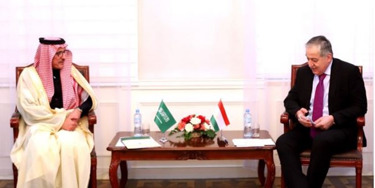 همکاری دوجانبه محور دیدار وزیر خارجه تاجیکستان و سفیر سعودی