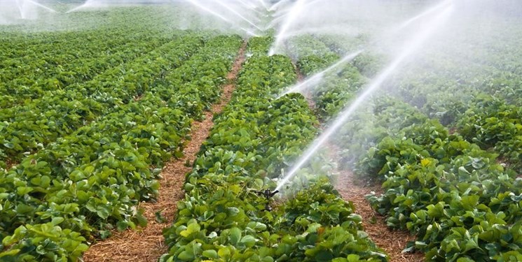 تولید 50 نوع محصول زراعی و باغی در «دره‌شهر»