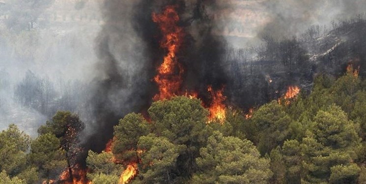وقوع ۸۵ فقره آتش‌سوزی طی یک‌سال اخیر در  جنگل‌های مازندران