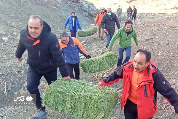 استقبال اهالی روستای دره تفی مریوان از بازگشت «لک لک ها»/ آموزش برای اطفای حریق در «پارک ملی بمو» 3