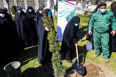 کاشت درخت توسط خانواده شهید ایرلو سفیر فقید جمهوری اسلامی ایران در یمن در محوطه مرکز مطالعات سیاسی <a href='https://sayeb.ir/tag/%d9%88%d8%b2%d8%a7%d8%b1%d8%aa-%d8%a7%d9%85%d9%88%d8%b1-%d8%ae%d8%a7%d8%b1%d8%ac%d9%87'>وزارت امور خارجه</a>