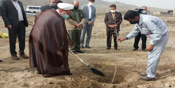 کاشت 3  هزار اصله نهال در دانشگاه بیرجند