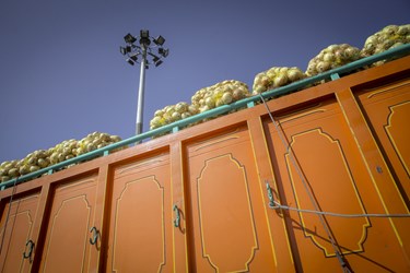 فروشندگان تهرانی در ساعات اولیه روز با حضور در میدان میوه و تره باز اقدام به خرید میوه های مورد نیاز خود می کنند