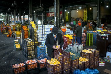 خرید و فروش میوه و صیفی جات درمیدان میوه و تره بار مرکزی تهران