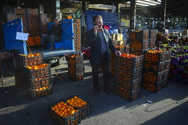 فروشندگان تهرانی در ساعات اولیه روز با حضور در میدان میوه و تره باز اقدام به خرید میوه های مورد نیاز خود می کنند