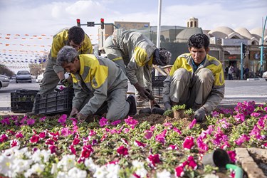 گل کاری و زیباسازی یزد در آستانه نوروز