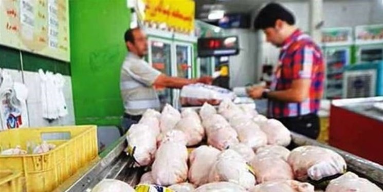 بازار مرغ به آسایش نسبی رسید/ رکوردشکنی جوجه‌ریزی در مازندران