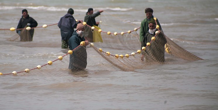 کشف و ضبط 130 قطعه ماهی از متخلفان زیست محیطی در ایلام