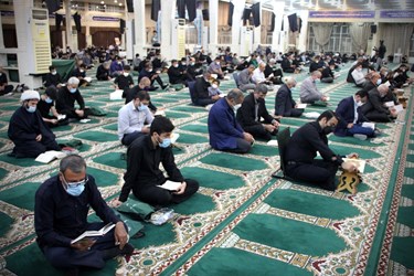 احیای شب 21 ماه رمضان در بوشهر