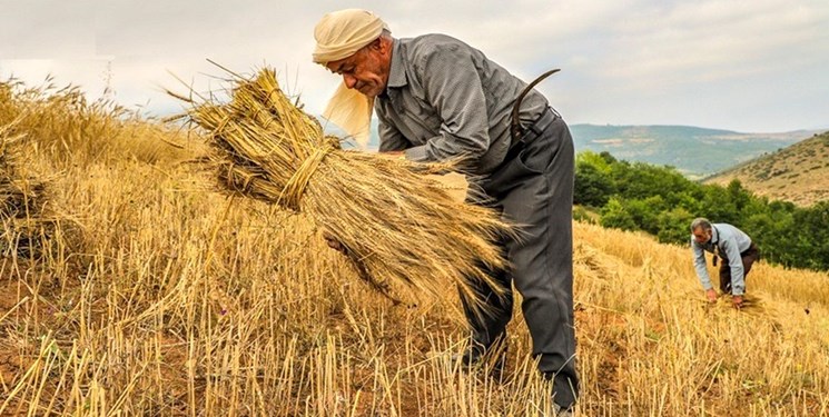 تبدیل پسماندهای تر به خشکاله و ارتقای امنیت غذایی / زمین پاک و خودکفایی با یک نهاده بومی