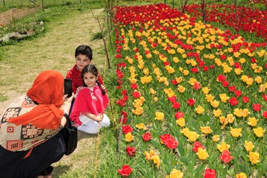 گردشگری در حال گرفتن عکس یادگاری برای فرزندان خود در کنار گلهای لاله است