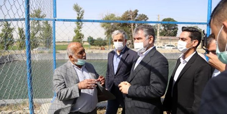 وزیر جهاد کشاورزی از مزارع ۴۲۰ هکتاری اوقاف شهریار بازدید کرد