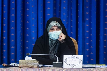 سمیه رفیعی رئیس فراکسیون محیط زیست مجلس شورای اسلامی در جلسه شورای عالی محیط زیست