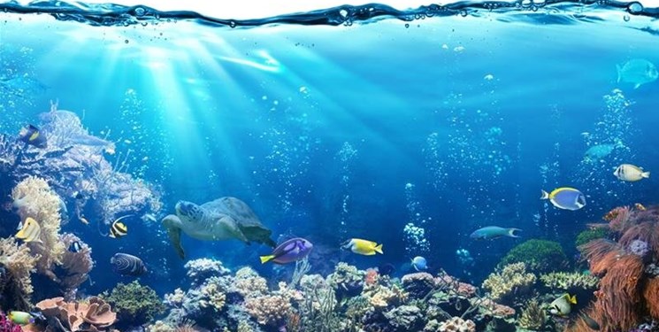 توافق تاریخی برای نجات اقیانوس‌های جهان