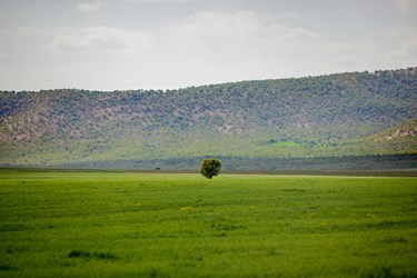 جلوه زیبایی های طبیعت زاگرس