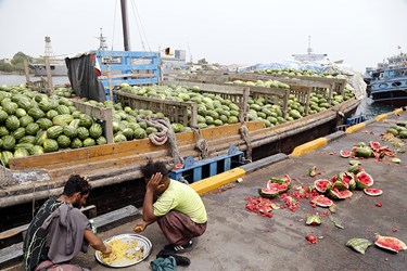هندوانه؛ از تولید تا صادرات