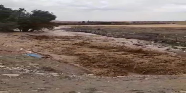 خسارت بارندگی به بخش کشاورزی و عشایر منطقه وردشت