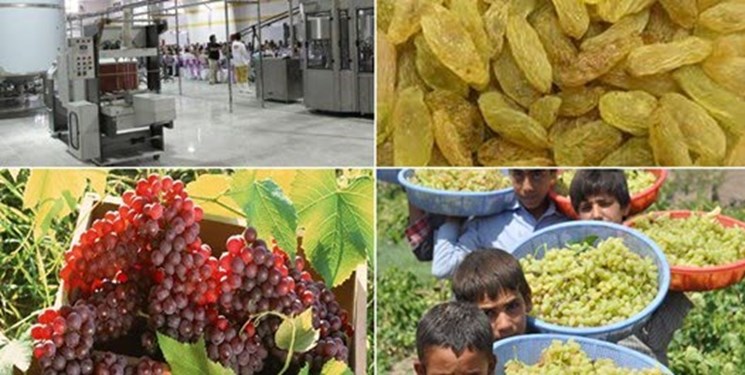 سرمایه گذاری ۷۸٠ میلیارد ریالی بخش خصوصی در صنایع غذایی و تبدیلی کشاورزی قزوین