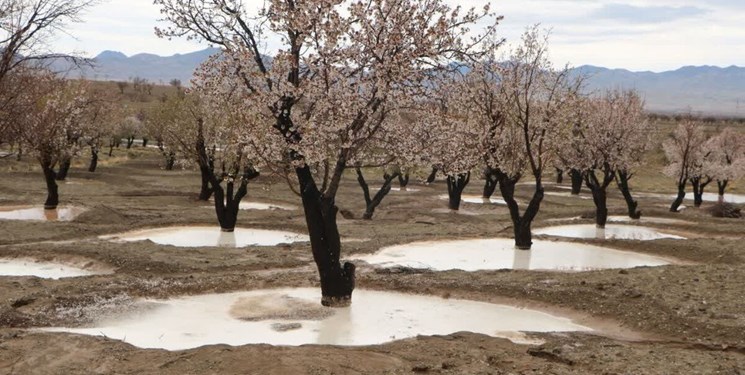 ایجاد سامانه‌های آبگیر در ۱۵۰ هکتار از باغات دیم لرستان