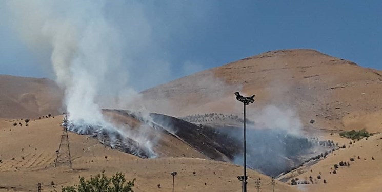 کاهش 80 درصدی آتش‌سوزی در کردستان/حراست از عرصه‌های طبیعی نیازمند مشارکت همگانی است