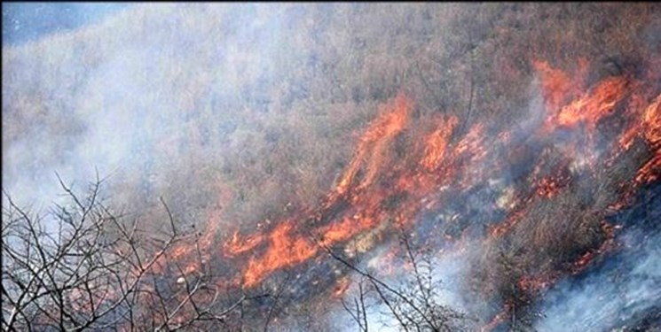 گسترش آتش سوزی در منطقه حفاظت شده کوه خامی باشت/ درخواست بالگرد برای جابه جایی افراد