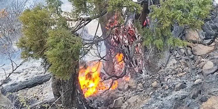 مهار آتش‌سوزی در جنگل‌های منطقه حفاظت‌شده «پرور»