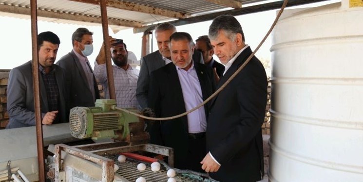 بازدید وزیر جهاد کشاورزی از واحد فوق پیشرفته مرغ تخم‌گذار در گرمسار/ افزایش ۵۰۰ درصدی ظرفیت تولید با کمک دولت