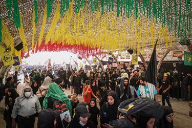 پیاده روی اربعین حسینی از «نجف به کربلا»