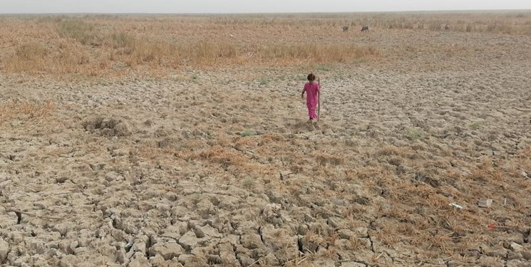 کمک یک میلیون دلاری برنامه جهانی غذا برای مقابله با خشکسالی در عراق