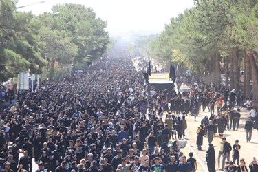 همایش جاماندگان قافله اربعین در کاشمر