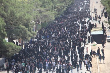 همایش جاماندگان قافله اربعین در کاشمر