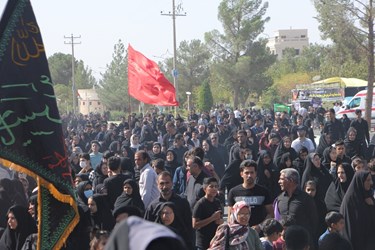 همایش جاماندگان قافله اربعین در کاشمر